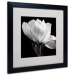 Gardenia  by Michael Harrison on Canvas