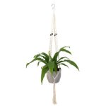 Costa Farms Live Bird's Nest Fern Plant in Plastic Planter With Macrame Hanger