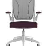 Humanscale Diffrient World Chair