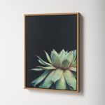 Macri Succulent 8 by Emiko and Mark Franzen of F2Images Print on Canvas