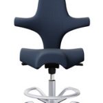 HAG Capisco 8107 Stool / 5 Day Express Ship