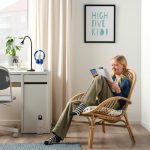 BROBOCK / BJÖRKTRAST Chair with cushion