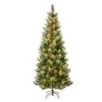 Charleston Pine Slim Tree with Clear Lights
