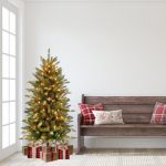 Fraser Lighted Christmas Tree